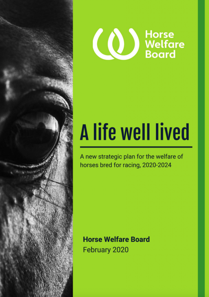 Horse Welfare Board - Welfare Strategy 2020-2024